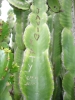DSC02583.jpg