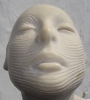 DSC02596.jpg