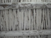 DSC02610.JPG