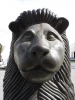 DSC02613.jpg