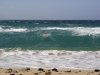 DSC02766.JPG