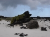DSC02851.JPG