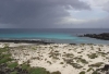 DSC02863.jpg