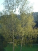 Pottenstein 2005 017.jpg