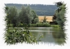 2 Teich.jpg