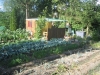 mein Garten 02.07.03.JPG