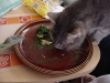 DSC00782.jpg