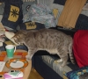 DSC00806.jpg