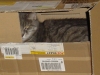 cat in the box.JPG