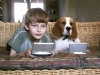 nick_hund.jpg
