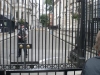 Downing Street 10.JPG